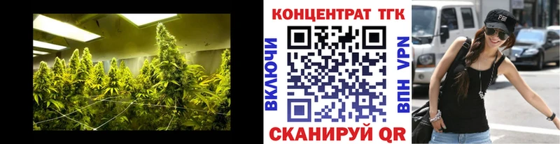 ТГК концентрат  Купить где  Бердск 