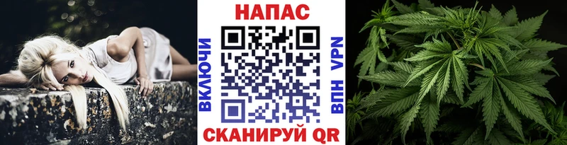 Каннабис Bruce Banner  Купить где  Бердск 
